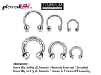 Titanium Horseshoe Barbell: Septum, Nose Ring (6mm to 19mm)