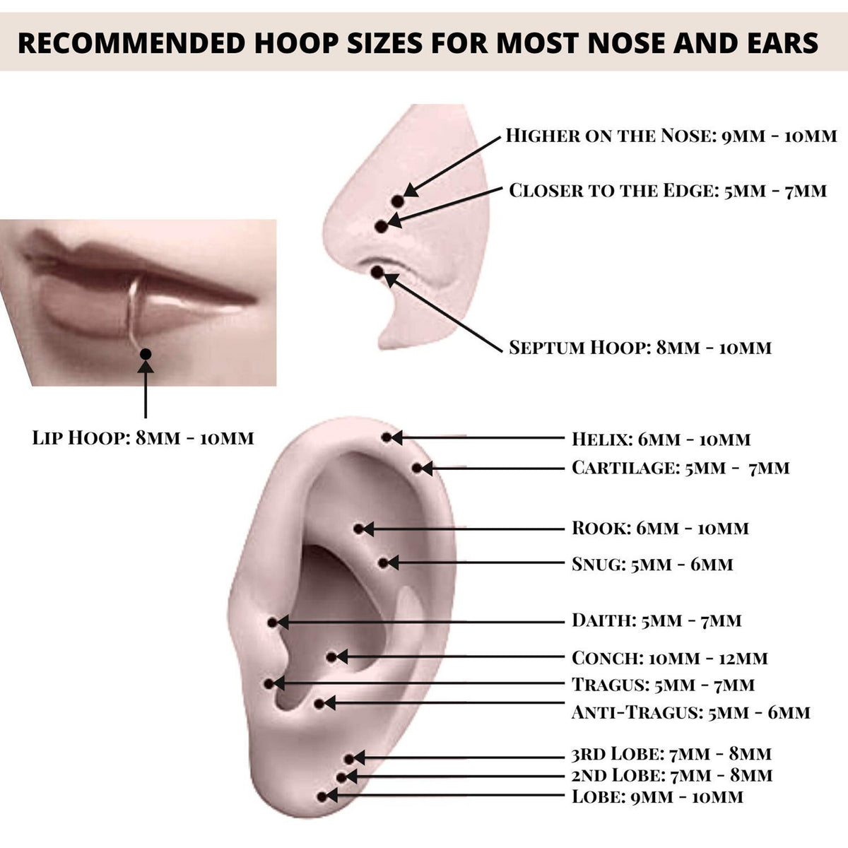 Surgical Steel Segment Ring: Hinged Septum or Nose Piercing