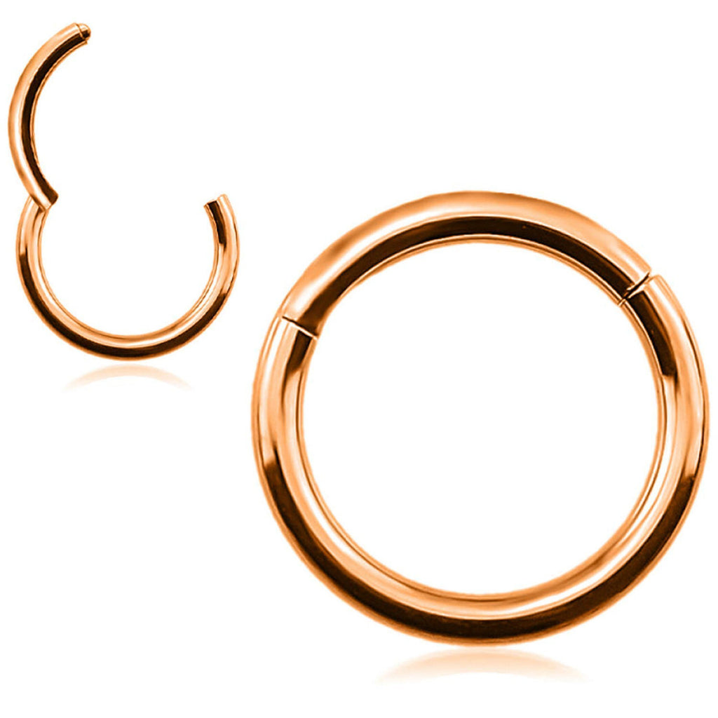 Surgical Steel Segment Ring: Hinged Septum or Nose Piercing