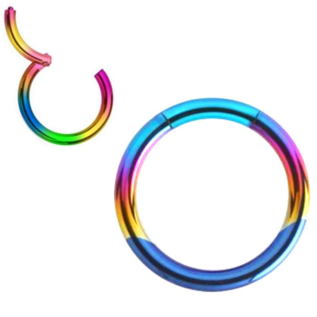 Surgical Steel Segment Ring: Hinged Septum or Nose Piercing