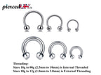 Surgical Steel Horseshoe Nose Ring: Circular Barbell Septum Piercing