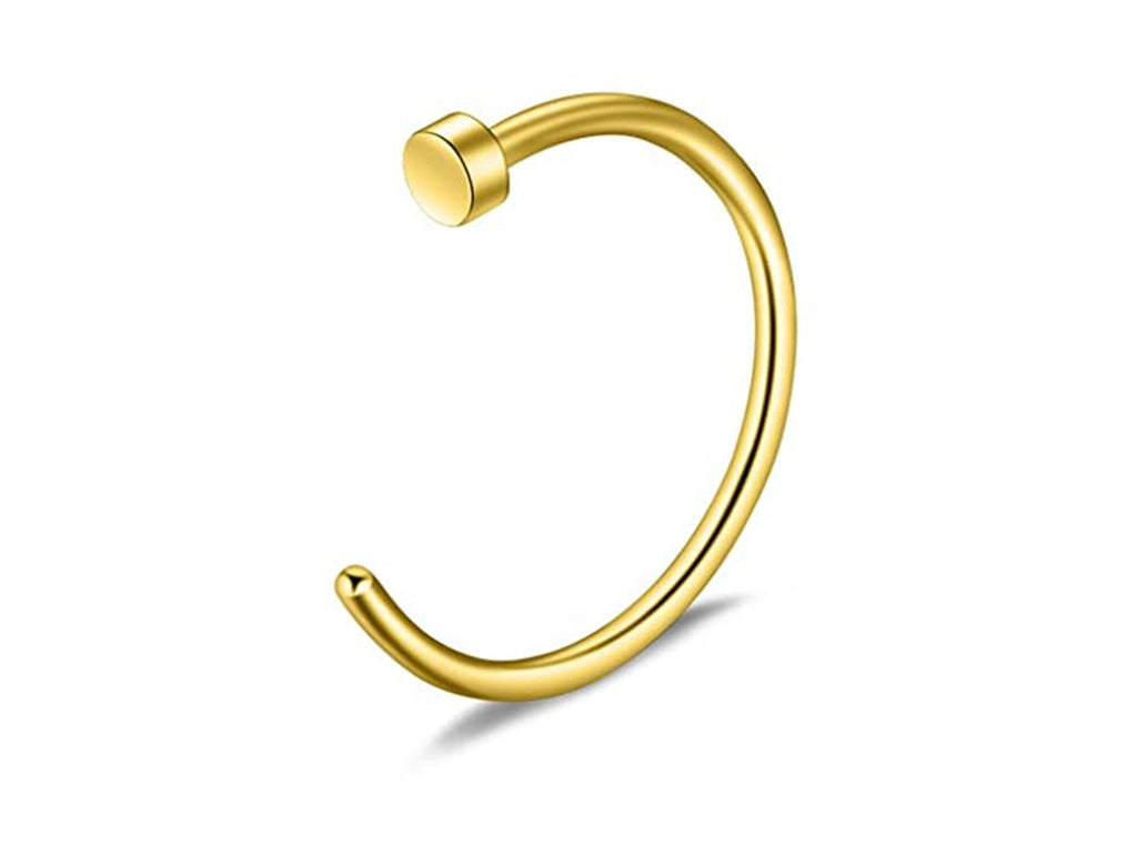 Titanium Nose Hoop: Hypoallergenic Nostril Ring, 20g-14g
