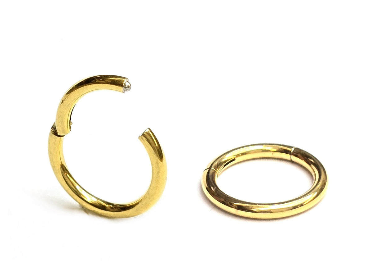 Surgical Steel Hinged Segment Ring: Tragus, Nose, Ear Piercing Jewellery