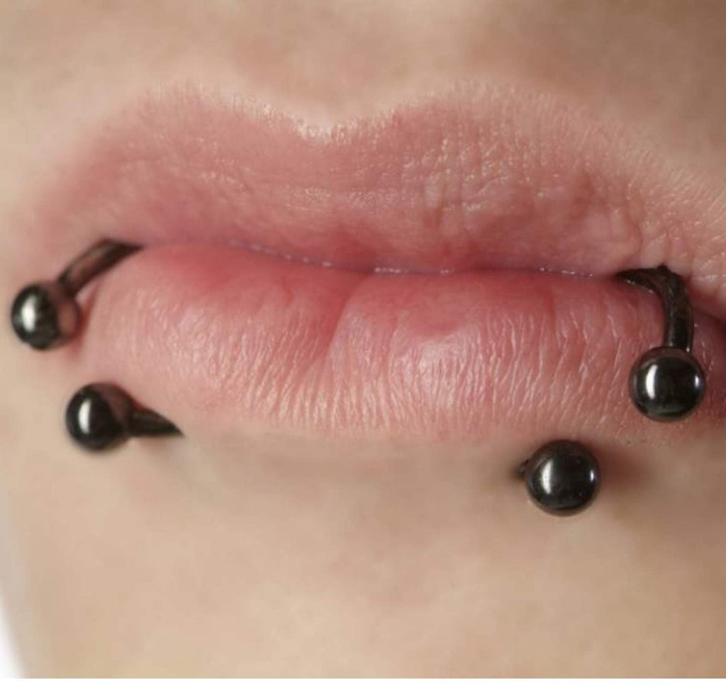 Black Titanium Horseshoe Barbell: Internally Threaded Septum Ring (16G-00G)