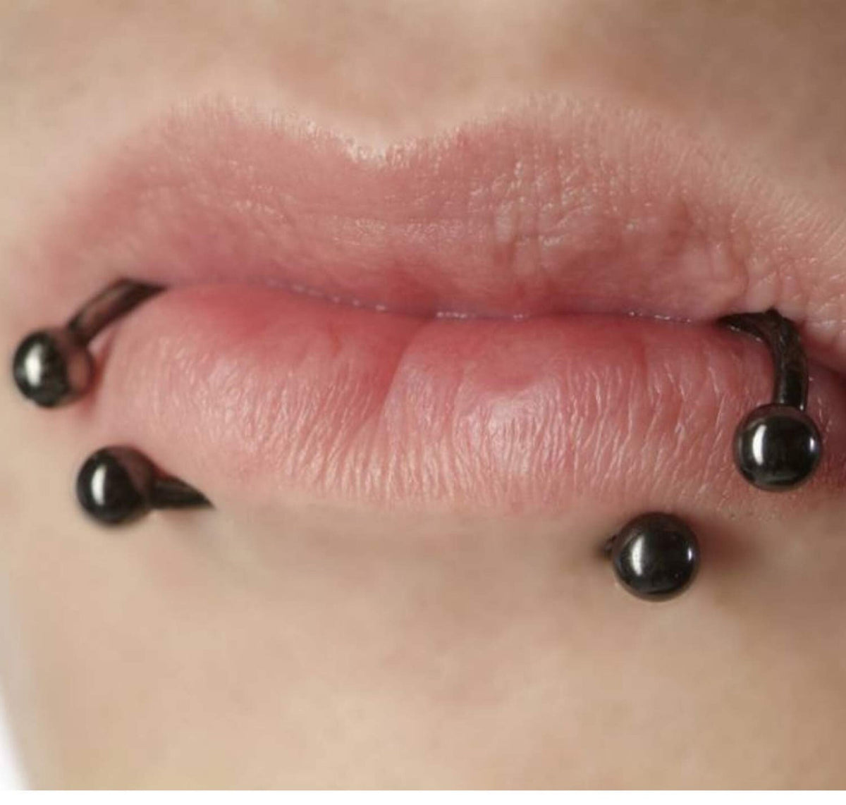 Black Titanium Horseshoe Septum Ring (18G-00G)