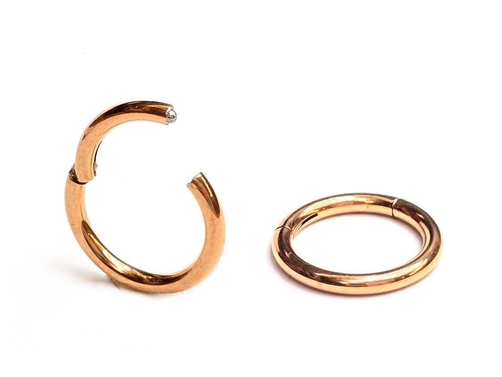 Hinged Segment Ring: Surgical Steel Septum or Nose Piercing