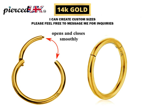 14K Gold Hinged Segment Ring: Septum, Nose, Lip, Cartilage Piercing
