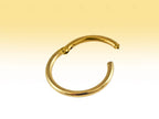 14K Gold Hinged Segment Ring: Septum, Nose, Lip, Cartilage Piercing