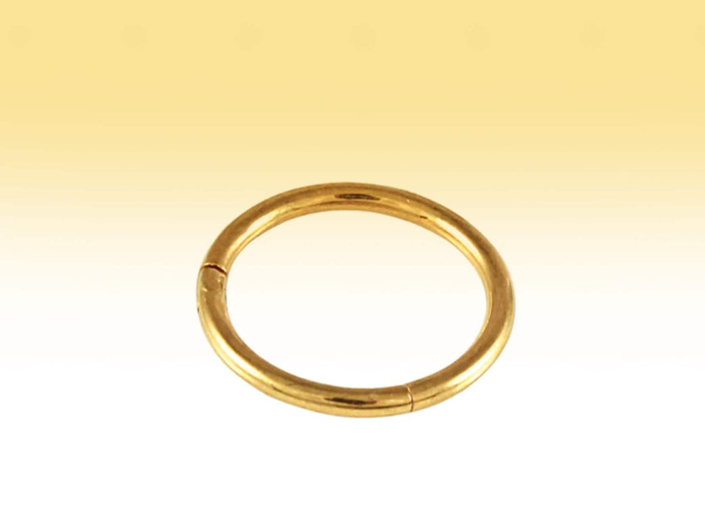 14K Gold Hinged Segment Ring: Septum, Nose, Lip, Cartilage Piercing