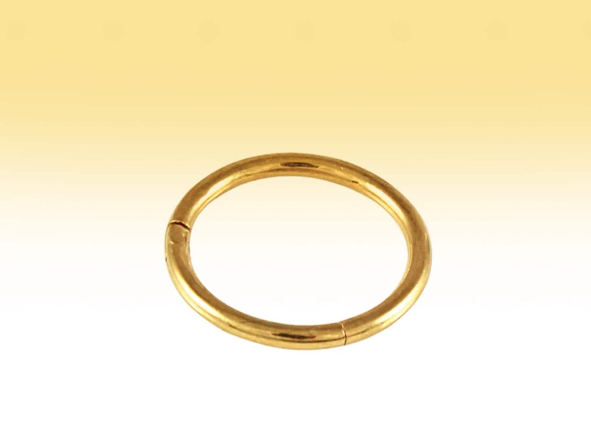 14K Gold Hinged Segment Ring: Septum, Nose, Lip, Cartilage Piercing