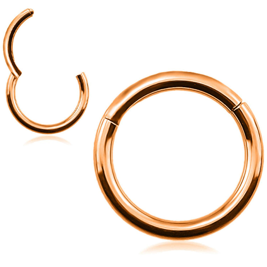 [DEACTIVATED]Titanium Segment Ring, Septum Ring, Nose Ring clicker - 20G 18G 16G 14G 12G 10G 8G - 6mm to 16mm - Silver, Gold, Rose Gold, Black, Rainbow